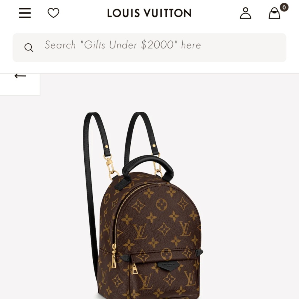 Louis Vuitton Palm Springs Mini Backpack